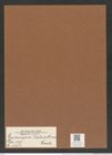 Eucampia balaustium Castr. (de-Toni-Nr.: Genus 142, Species 4083) Zeichnungen Sammlung Grunow Mappe 04093 (Herbarium_W_Grunow_drawings_Folder_04093)